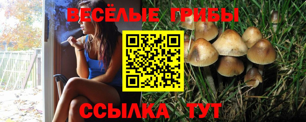 Псилоцибиновые грибы ЛСД Кубинка