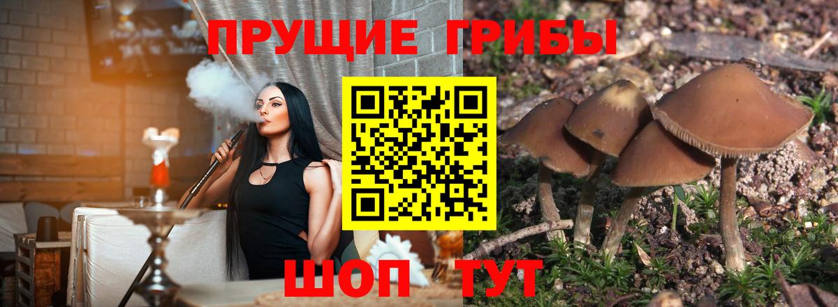 Псилоцибиновые грибы GOLDEN TEACHER  Вход с VPN  Галлюциногенные грибы мухоморы  Кубинка 